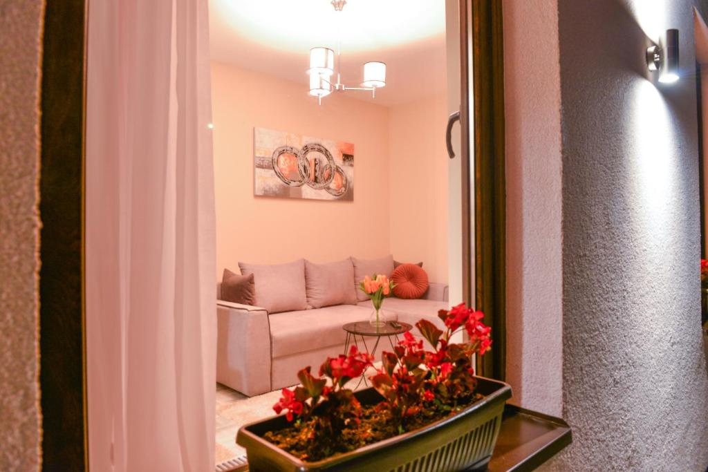 Apartman Savić photo 4