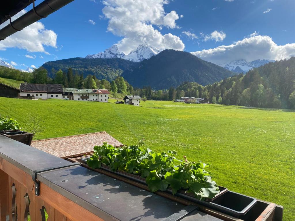 Gästehaus Salzgau photo 3
