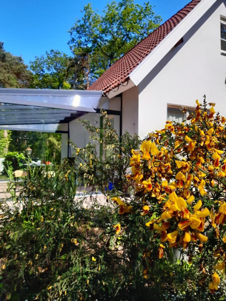 Vakantiewoning Zwaluw Beerze photo 4