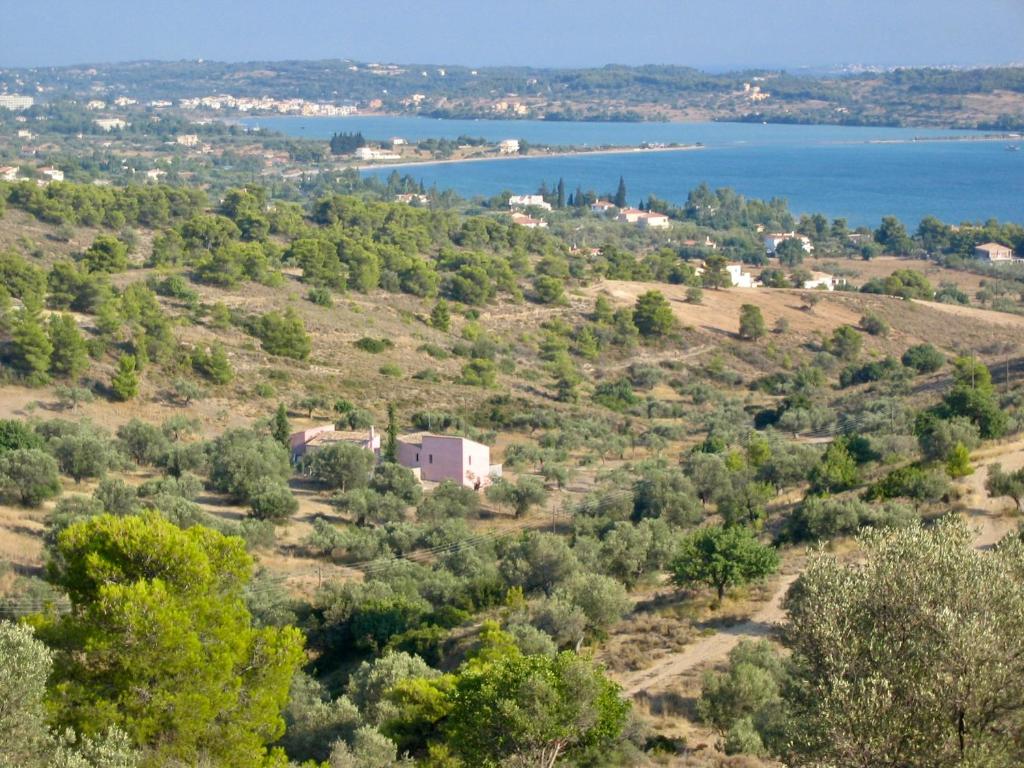 Roxanne's Olive Grove House photo 1