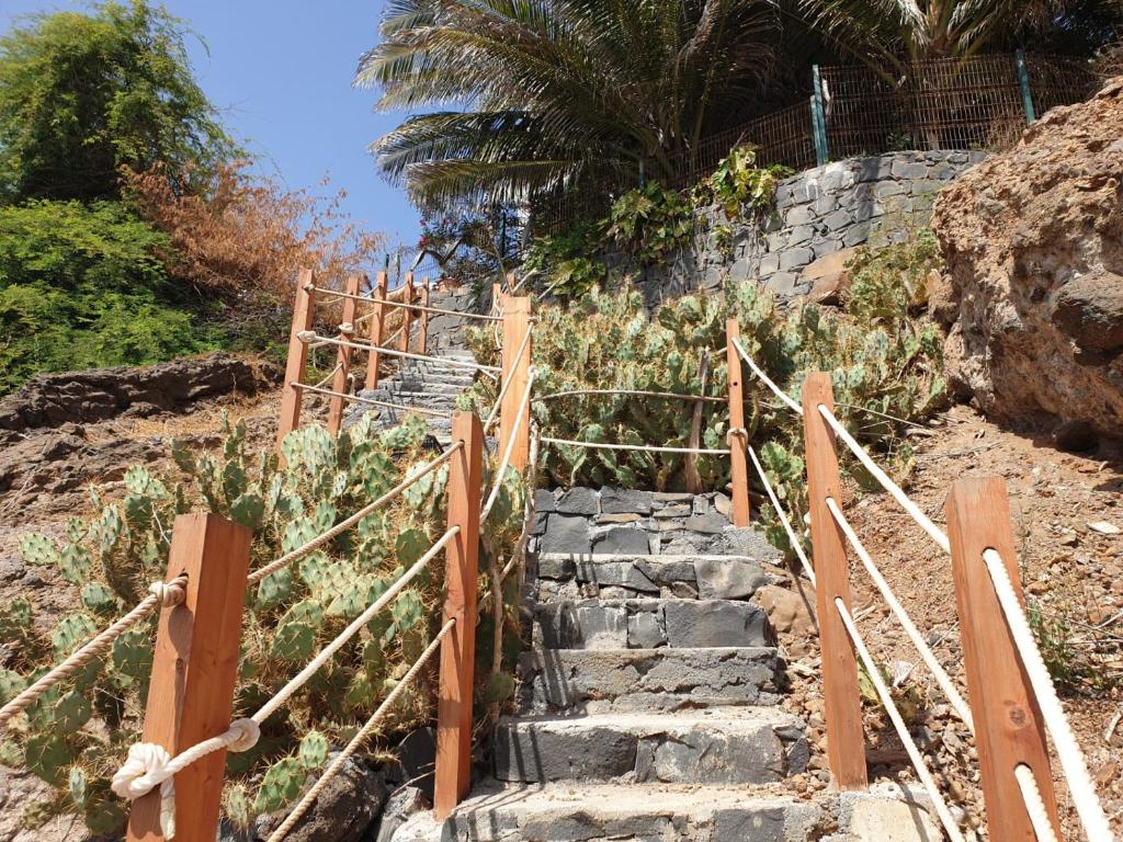 Cactus Guest House photo 2