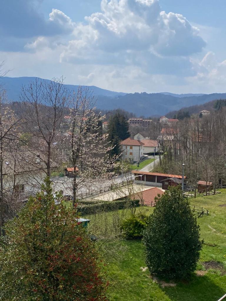 La casa della nonna photo 1