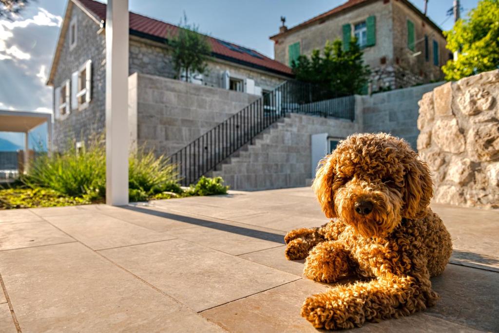Villa Lastva photo 2