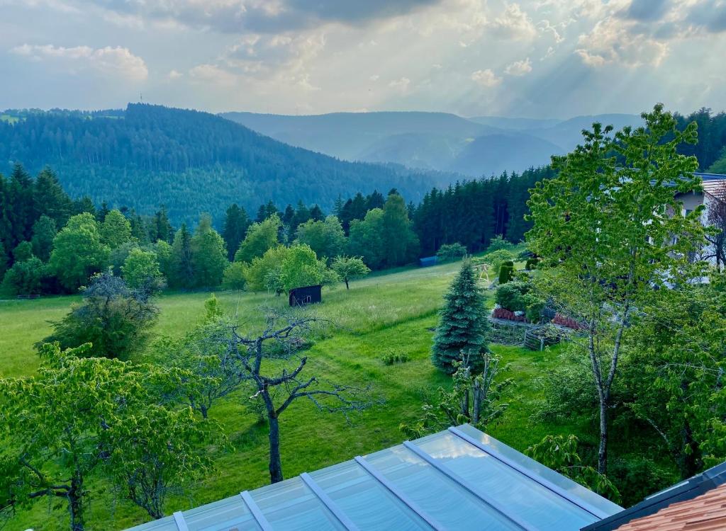 Ferienhaus mit 5* Luxus im Schwarzwald photo 2