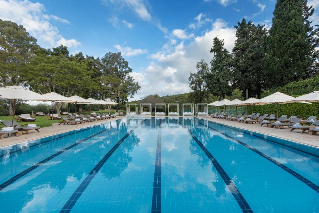 Carmel Forest by Isrotel Exclusive photo 4