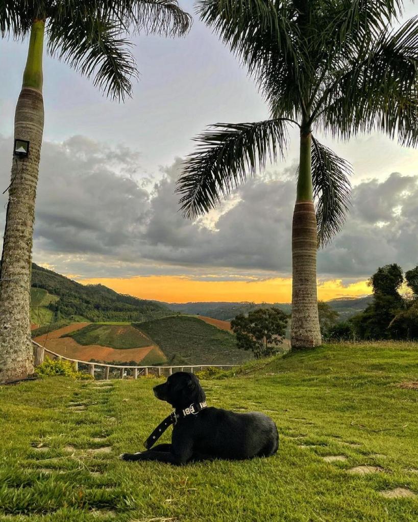 Sítio Nicolau - Maravilhoso sítio nas Montanhas em Domingos Martins! photo 2