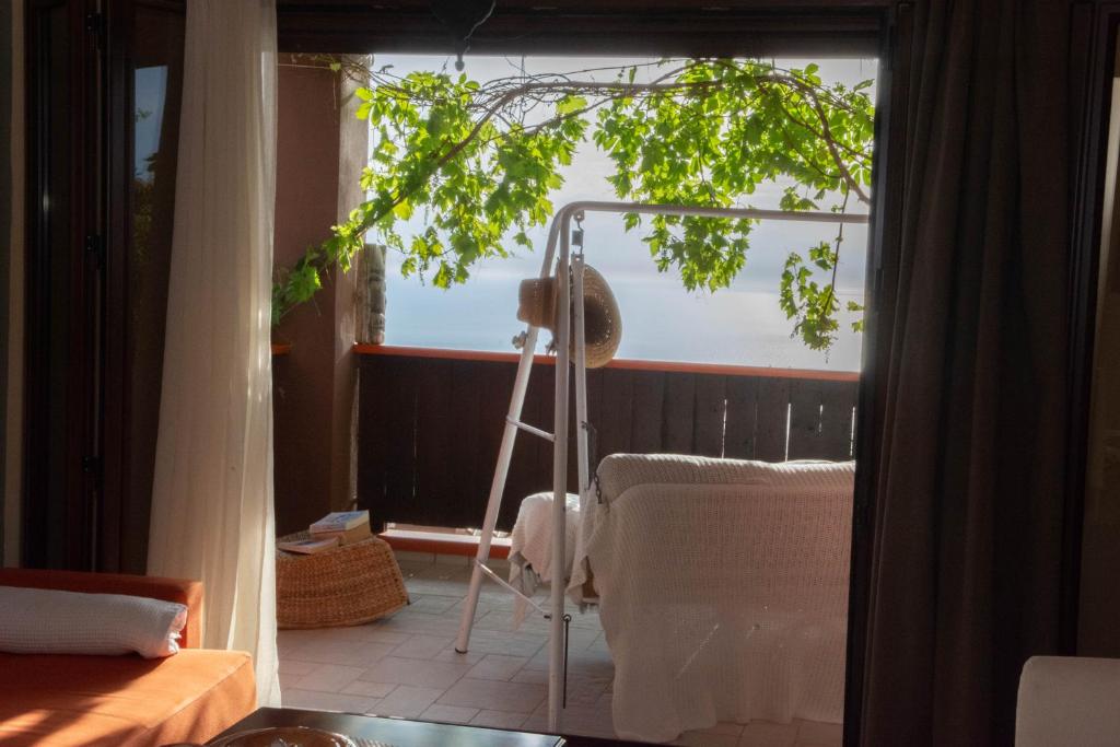 Tajo VIllas photo 1