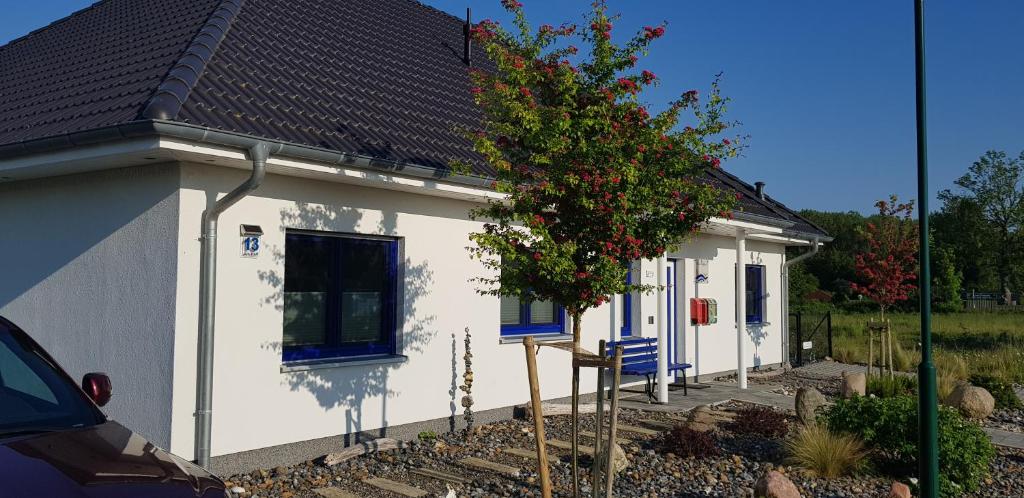 Haus Kliffblick photo 3