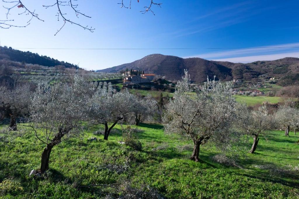 Agriturismo Il Ponticello photo 2