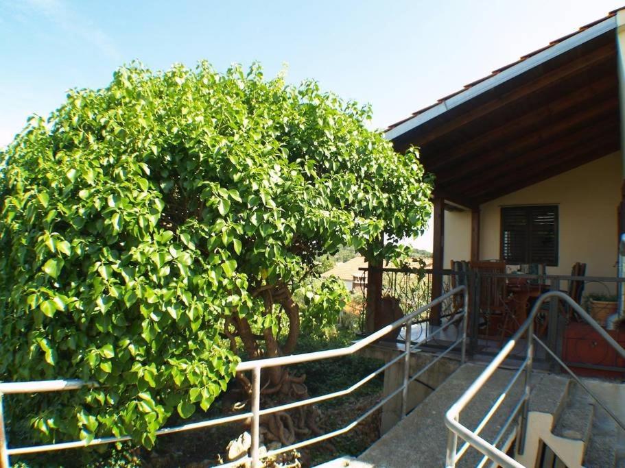 Holiday house in Kukljica with sea view, terrace, air conditioning, Wi-Fi (4572-1) photo 1
