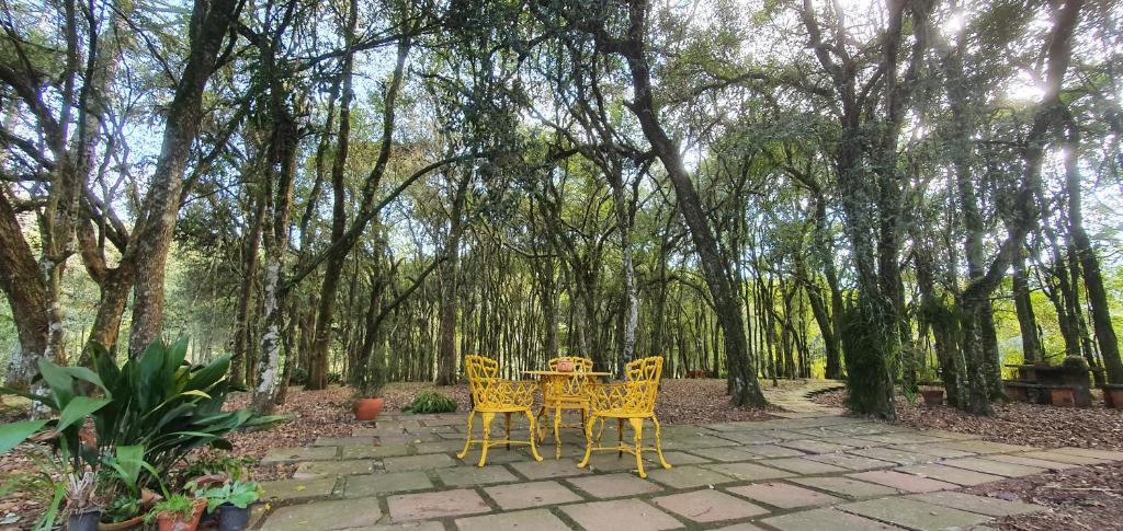 Malbec Casa Hotel photo 3