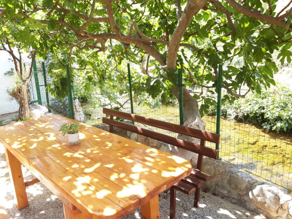 House with large garden right next to the river photo 4