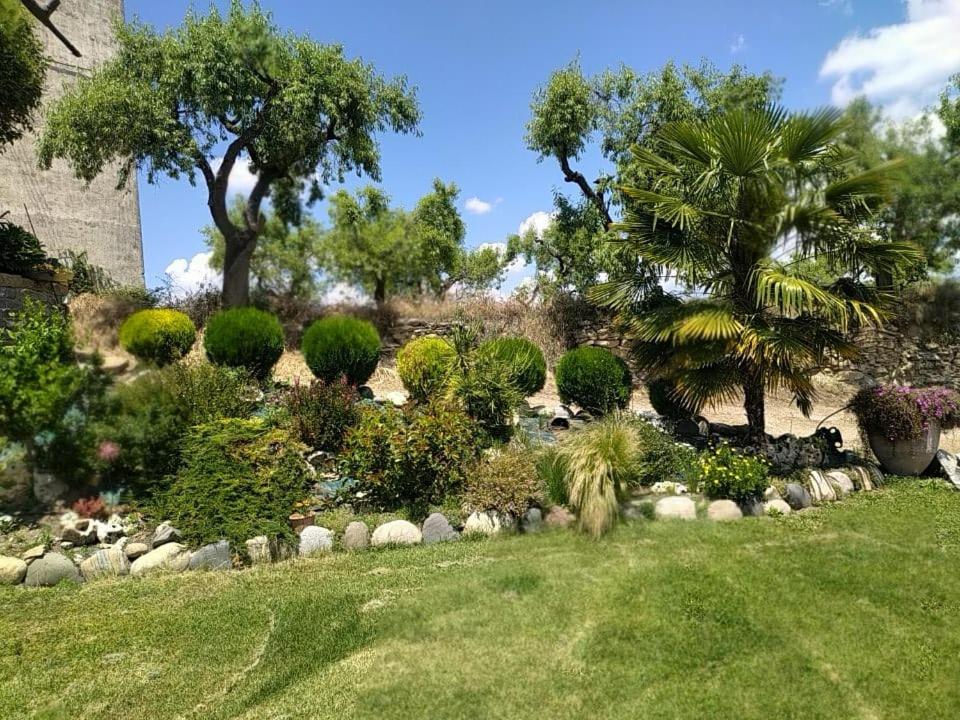Casa Dominica photo 4