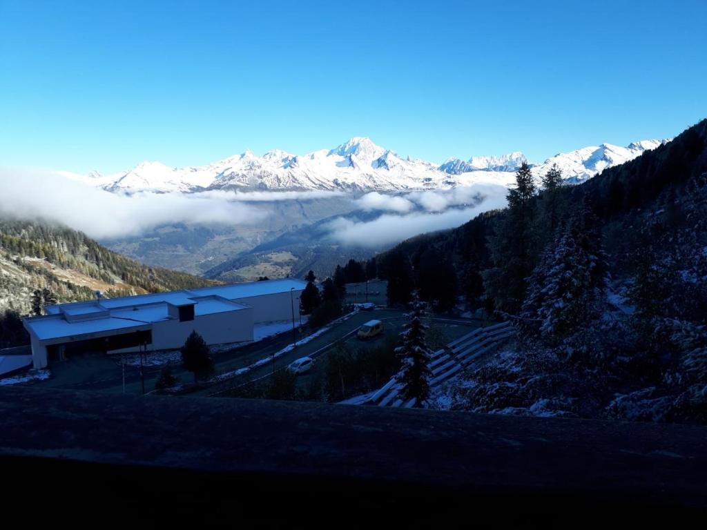 Le choucas - Les Arcs photo 1