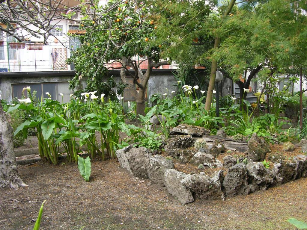 Il Giardino - accomodation photo 1