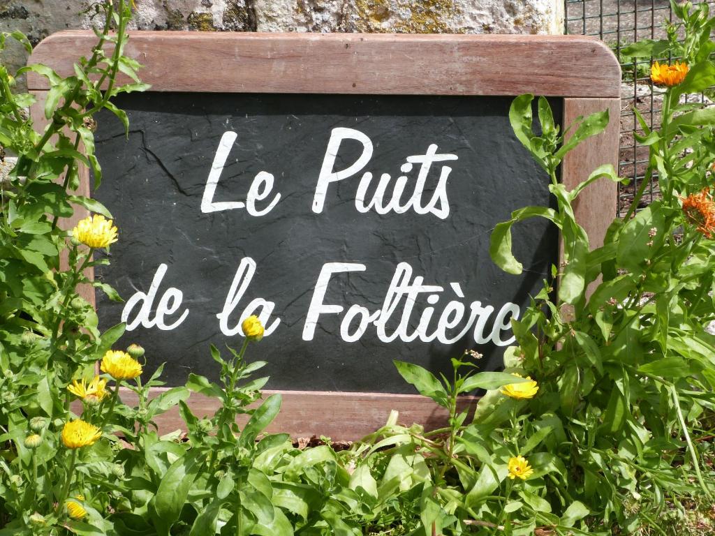Le Puits de la Foltière photo 1