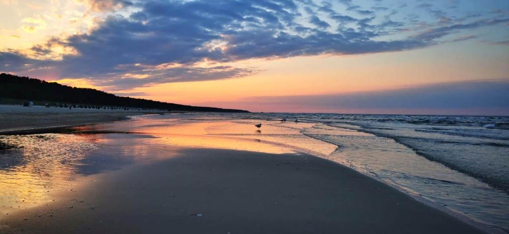 Ferienapartment Wellenreiter Insel Usedom photo 1
