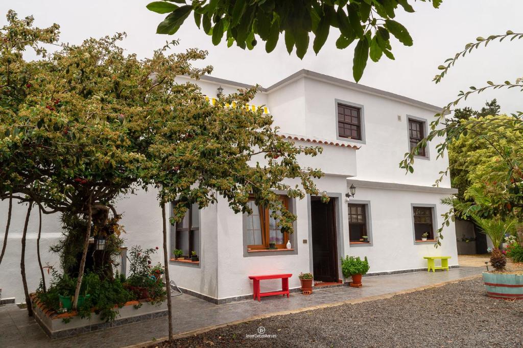Bodega Goyo photo 1