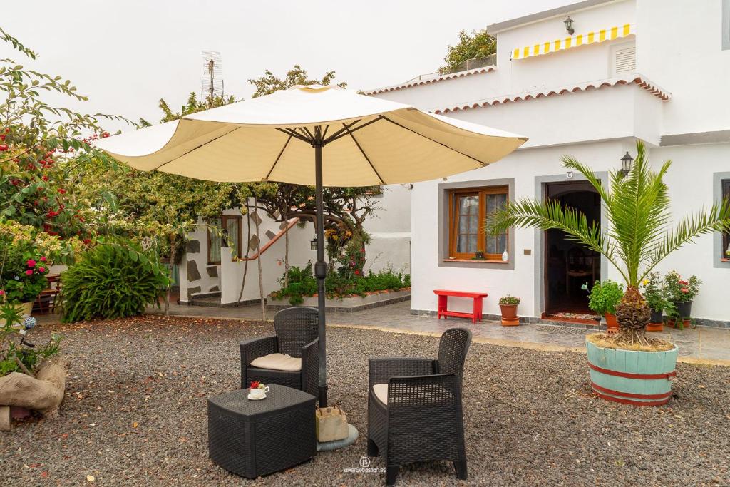Bodega Goyo photo 4