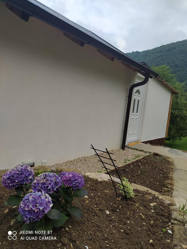 Lenilenii Bungalows photo 1
