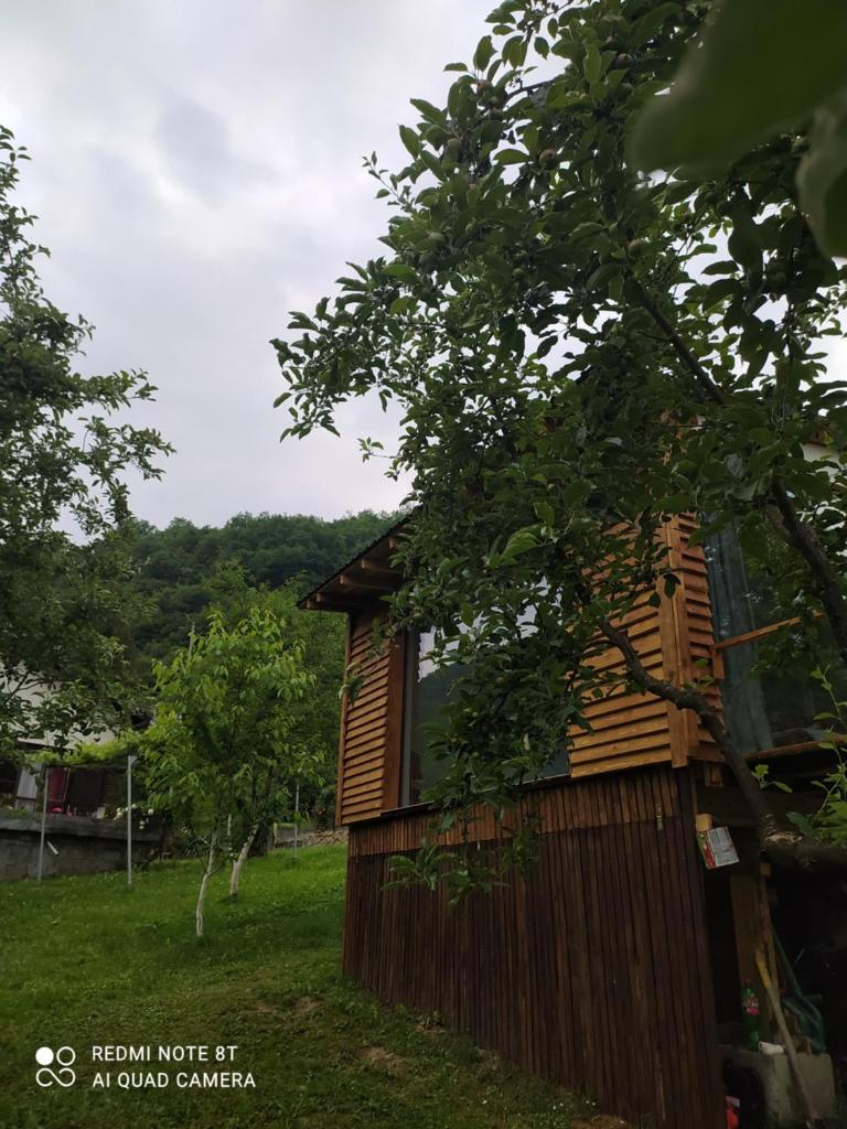 Lenilenii Bungalows photo 2