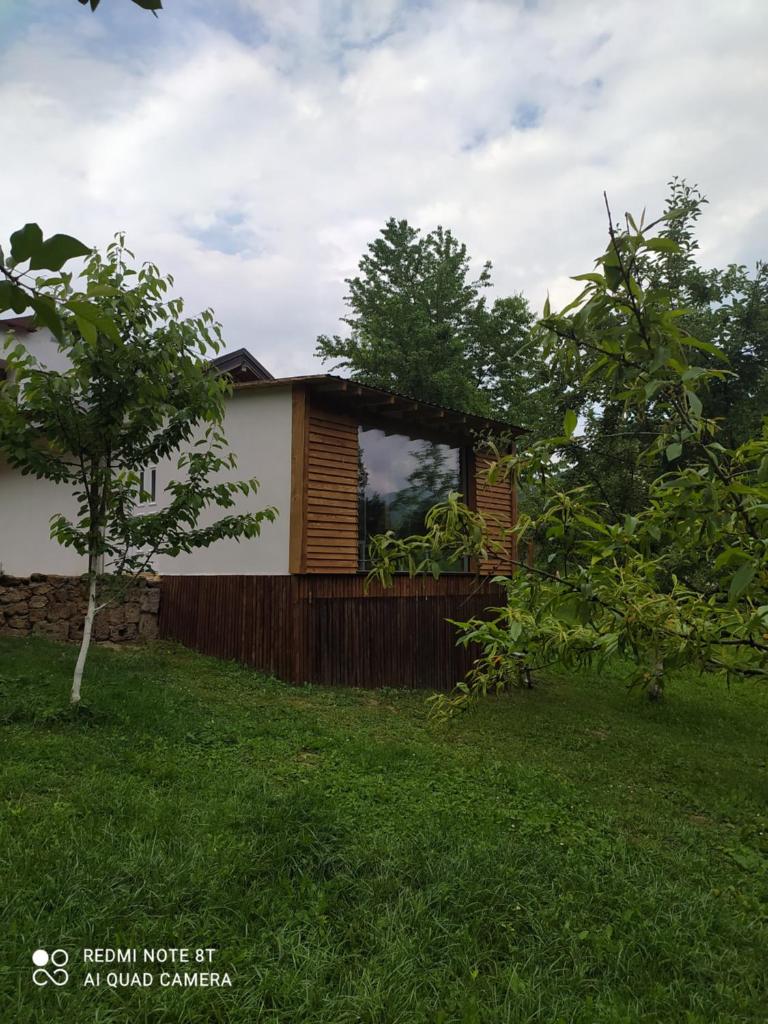 Lenilenii Bungalows photo 3