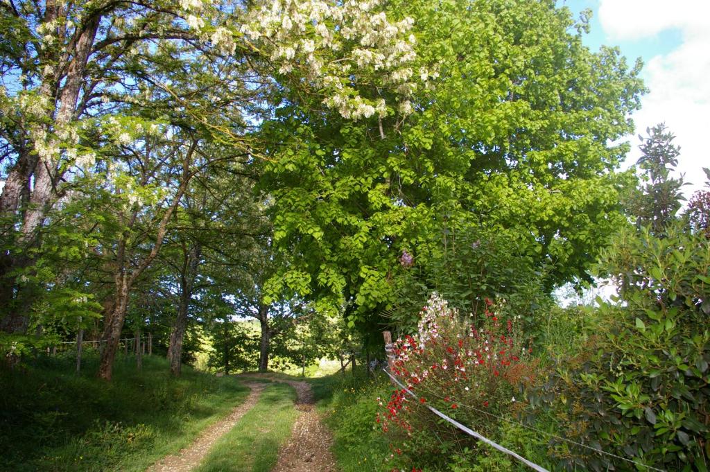Gîte l'appel de la Forêt photo 4