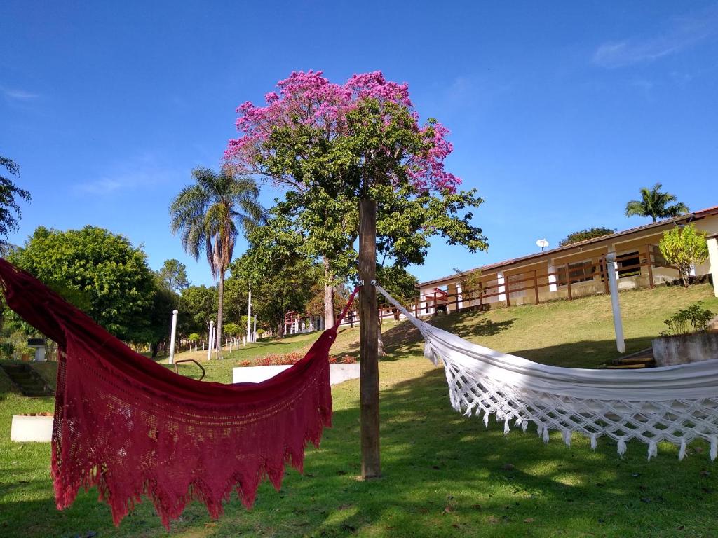 RECANTO ELAMAR photo 2