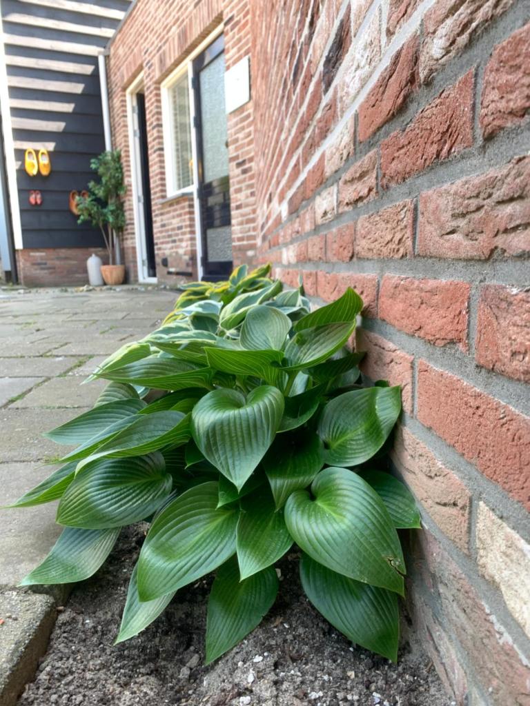 Het Korenhuus photo 3