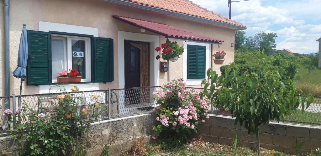 Holiday Home Goga photo 3