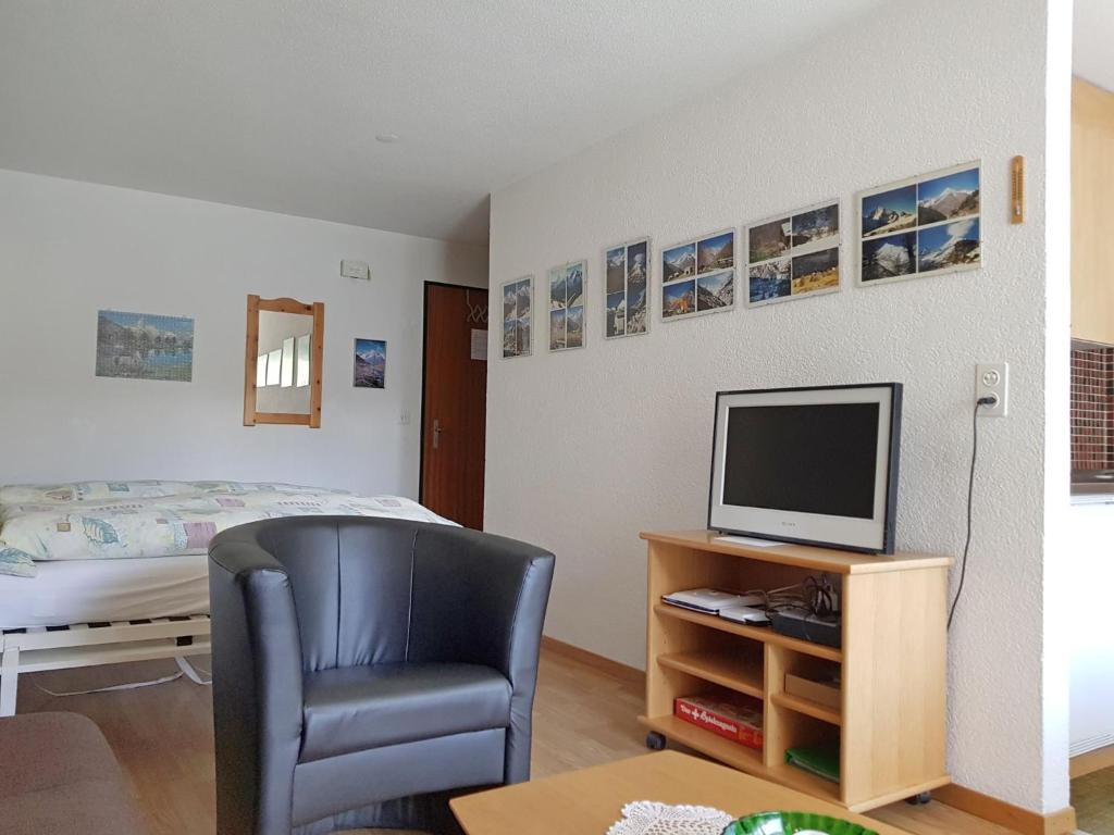Apartment Castor und Pollux-2 by Interhome photo 4