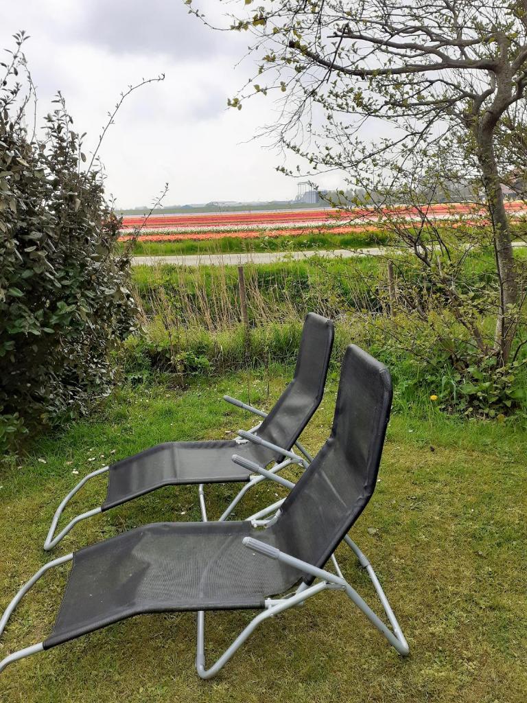 4 persoons ingerichte tent op kleine camping photo 4