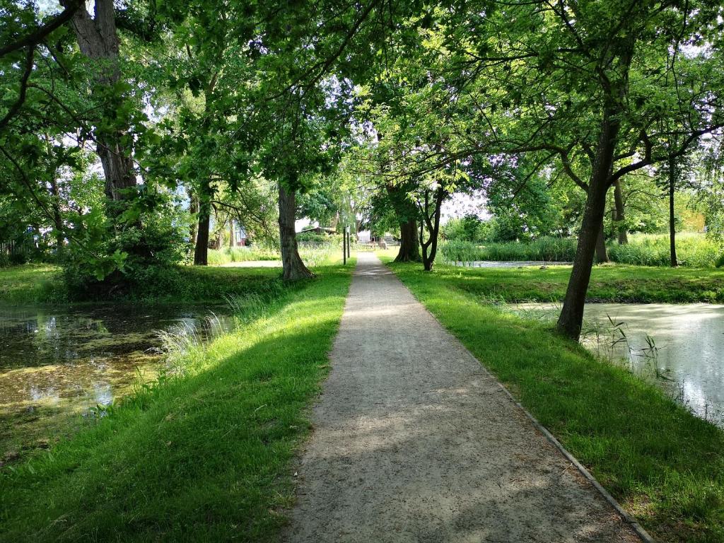 Sommerhaus Verchen photo 3