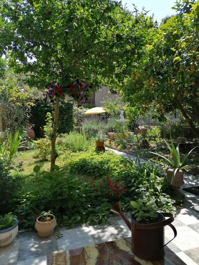 Eco Pisa Tower Guesthouse - Tap to explore photos