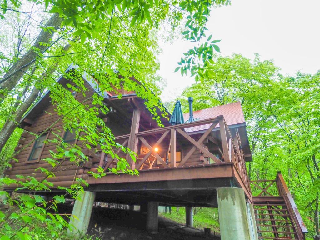 Nasu-gun - House - Vacation STAY 11442 photo 3