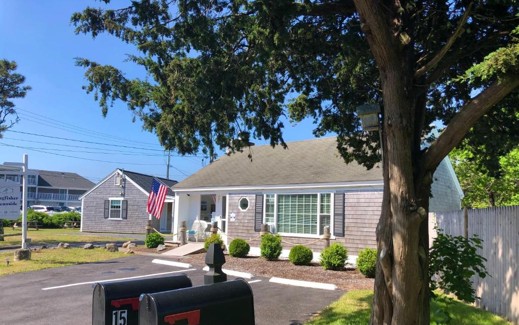 Kingfisher Oceanside photo 3