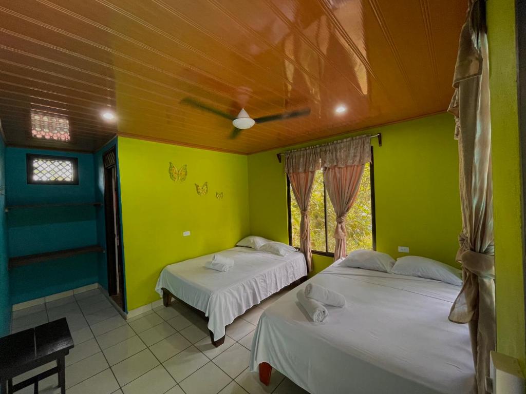 Los Amigos Jungle Hotel Tortuguero photo 1