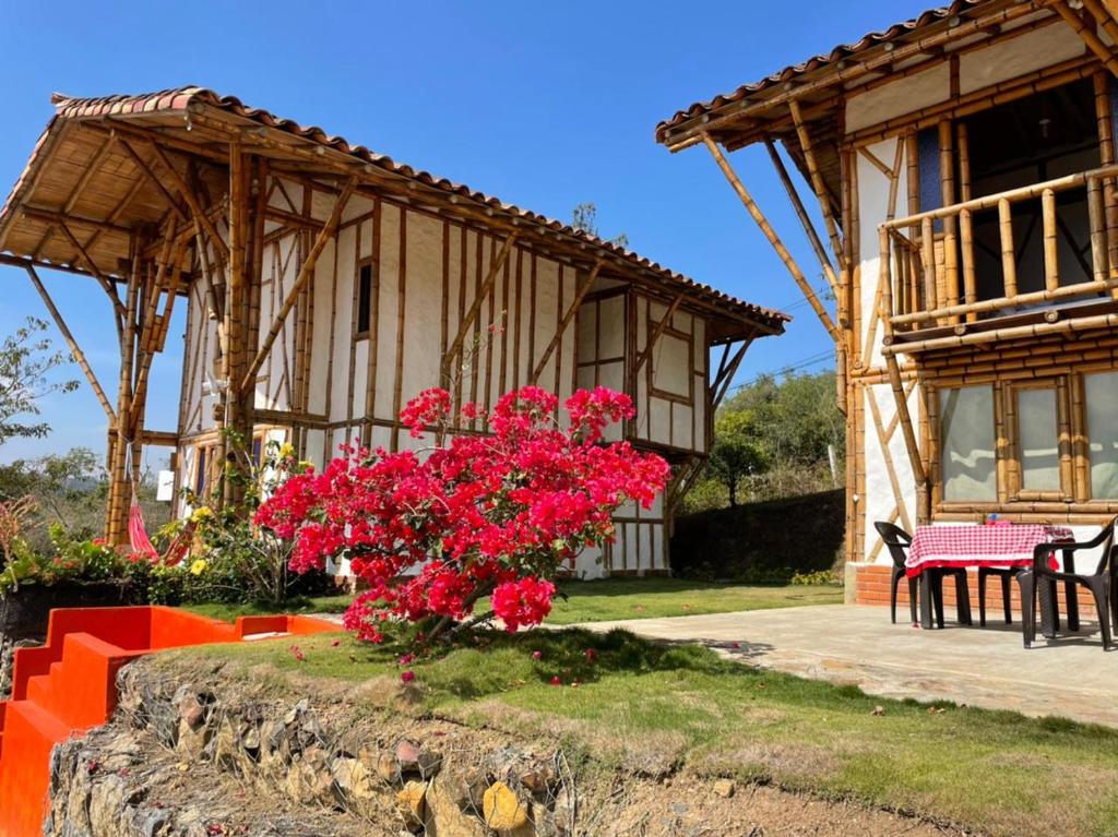 Hotel La Montoya photo 4