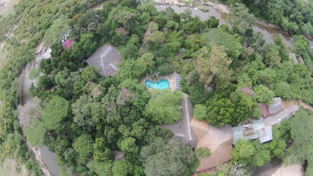 Fig Tree Camp - Maasai Mara photo 2