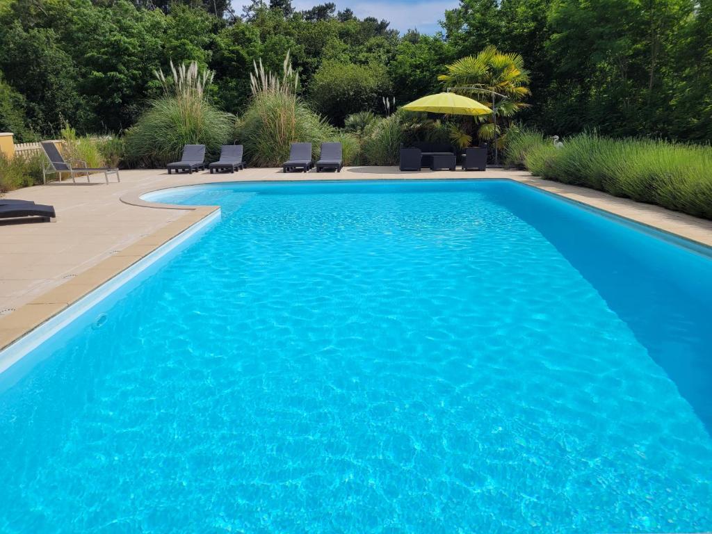 La Petite MARVINIERE photo 1