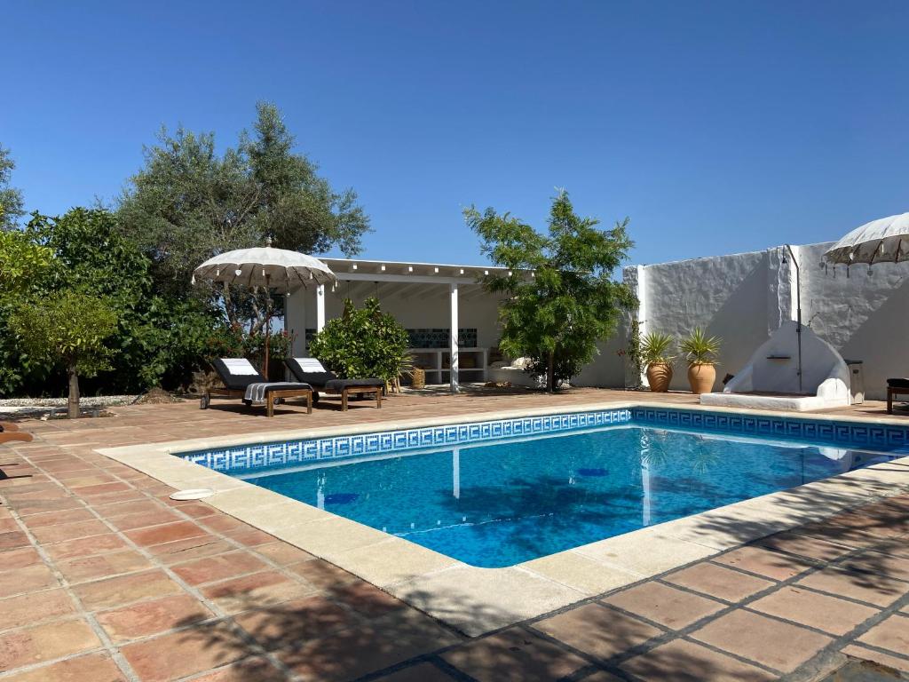Casa Junius photo 4