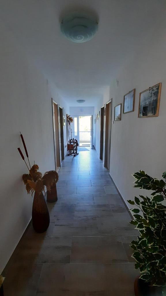 Apartment PinoAppLosinj photo 4