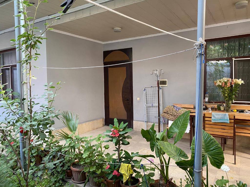 Guest House VIP photo 4