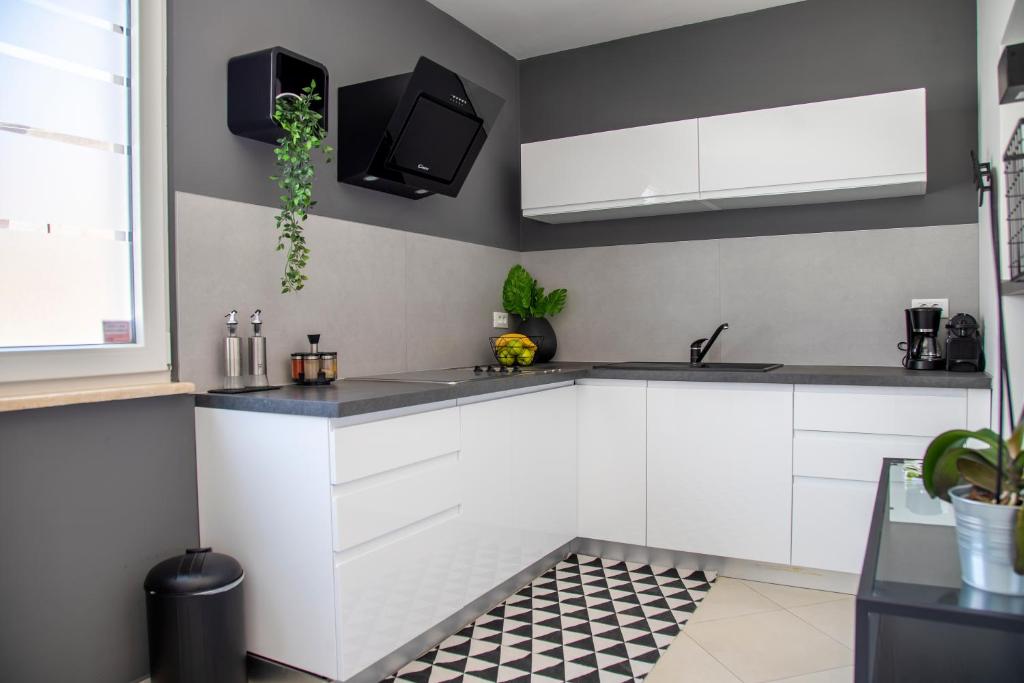 PORTA AUREA - One Bedroom Apartment photo 3