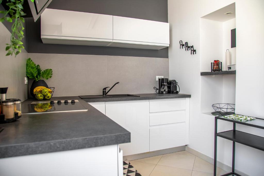 PORTA AUREA - One Bedroom Apartment photo 4