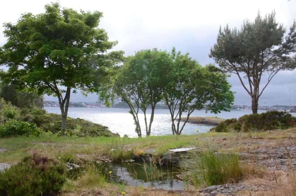 Villa Vassøy photo 2