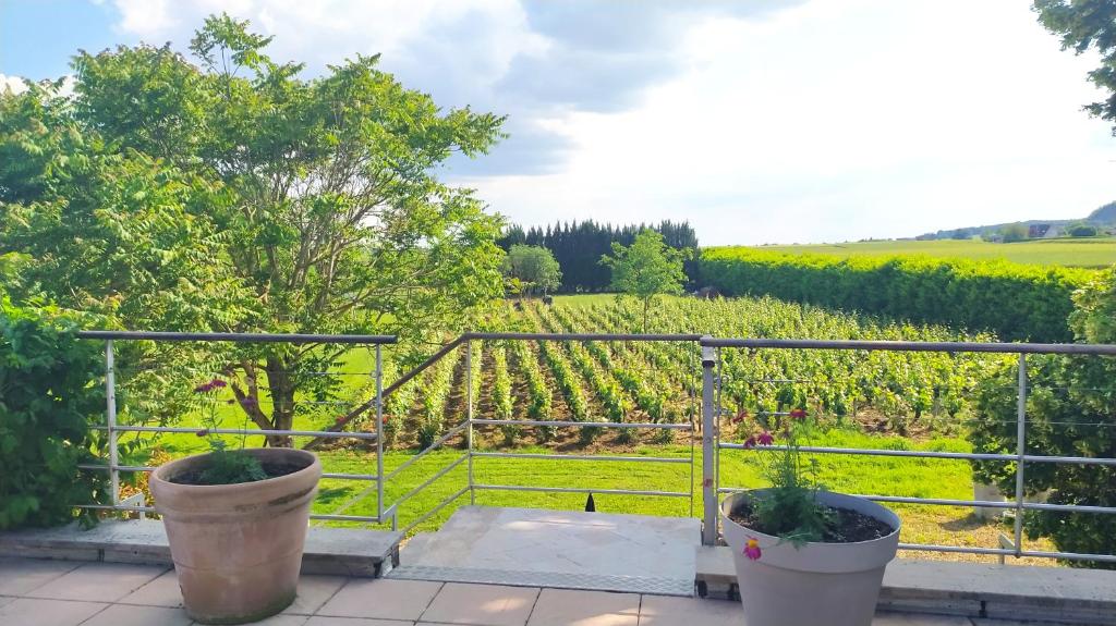 Clos des chenevières, 3 étoiles photo 3