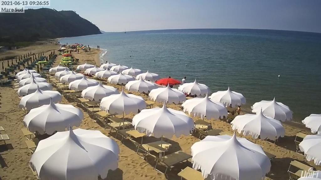 Hotel Sirena photo 2
