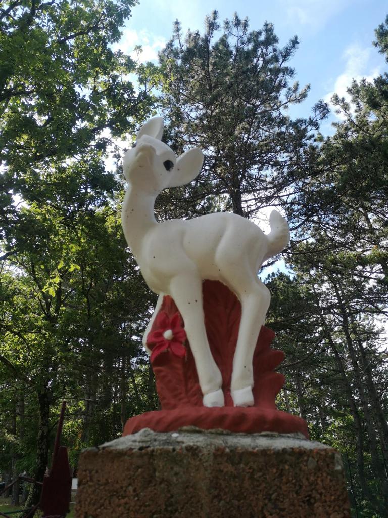 Pineta photo 4