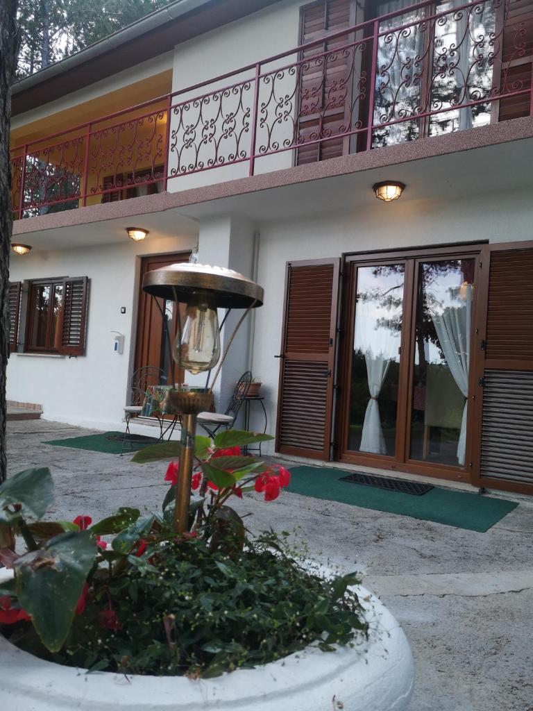 Pineta photo 2